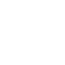Pizza-metro-logo-white
