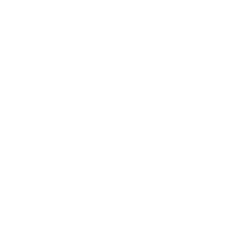 Pizza-metro-logo-white Pizza-metro-logo-white
